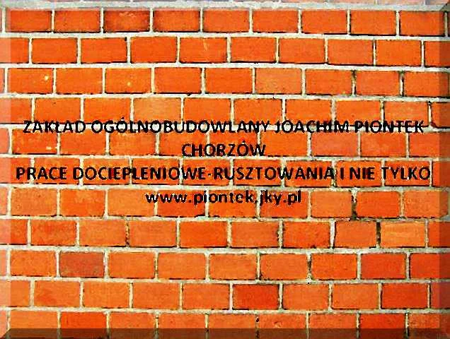 Zdjęcie z galerii