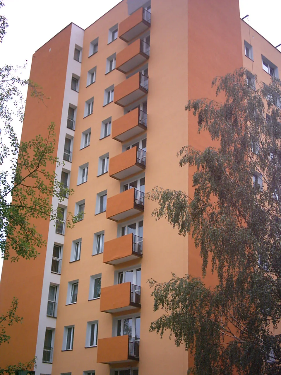 Zdjęcie z galerii